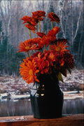687073 Bouquet Of Chrysanthemums A4 Photo Print