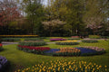 687074 Flowerbeds At Keukenhof, Netherlands A4 Photo Print