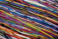 689011 Telephone Wire A4 Photo Print