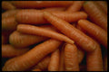689061 Carrots A4 Photo Print