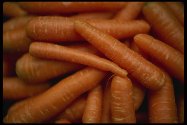 689061 Carrots A4 Photo Print