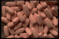 689064 Pink Pills A4 Photo Print