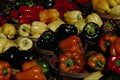 689074 Colorful Bell Peppers A4 Photo Print