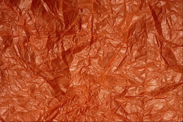 689084 Orange Wrinkle A4 Photo Print