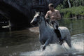 690002 River Riding, Appleby A4 Photo Print