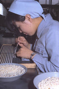 690025 Japanese Pearl Sorter A4 Photo Print