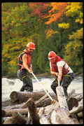 690053 Loggers A4 Photo Print