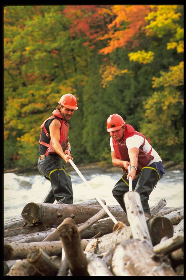 690053 Loggers A4 Photo Print