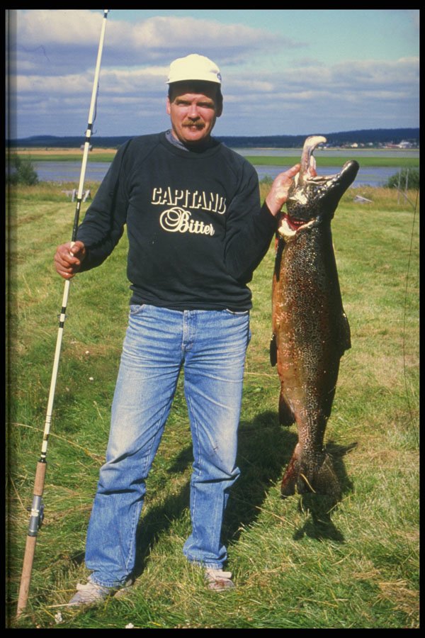 690054 A Salmon Caught From Muonio River A4 Photo Print