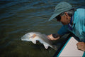690059 Redfish Release A4 Photo Print