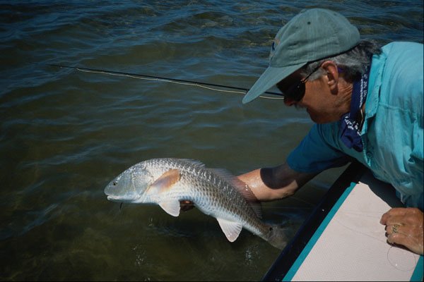 690059 Redfish Release A4 Photo Print