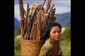 690086 K'Hor Minority Girl Transporting Sticks In Basket A4 Photo Print