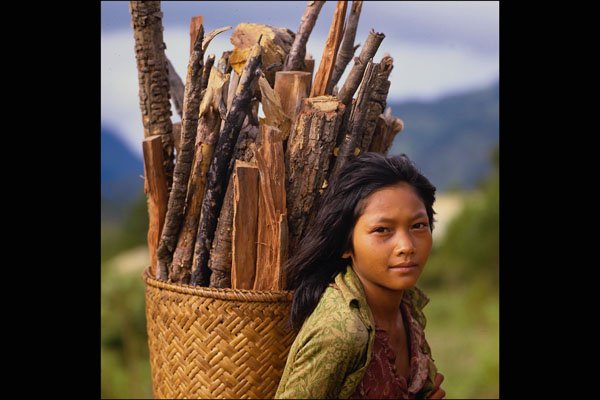 690086 K'Hor Minority Girl Transporting Sticks In Basket A4 Photo Print