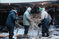 690096 Repairing Fish Nets, Deep Sea Trawler, Newfoundland, Canada A4 Photo Print