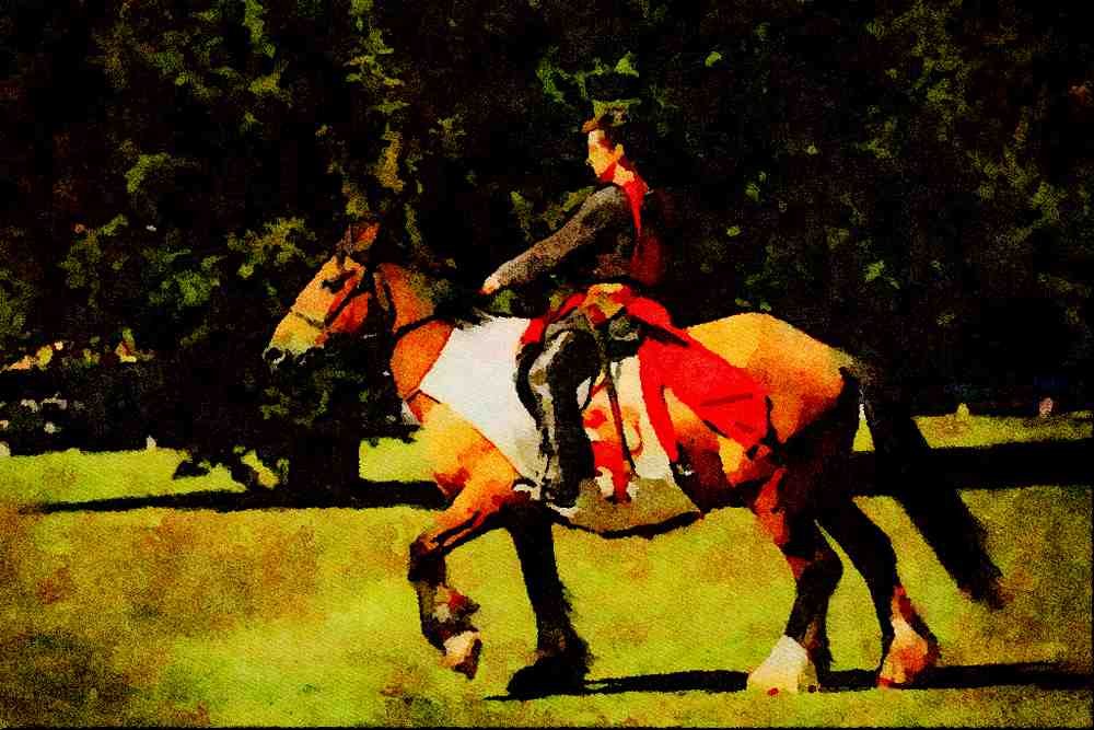 691025 Knight, Scotland A4 Limited Edition Watercolour Print