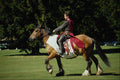 691025 Knight, Scotland A4 Photo Print