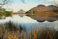 691060 Stac Polly And Cul Beas A4 Photo Print