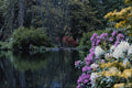 691087 Rozelle Lake, Ayr, Scotland A4 Photo Print