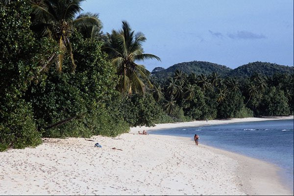 695021 Tropical Beach A4 Photo Print