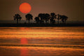 695044 Sunset Over Tropical Island, Black's Island, Florida A4 Photo Print