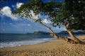 695053 Evening Beach A4 Photo Print