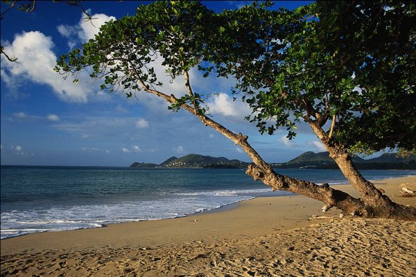 695053 Evening Beach A4 Photo Print