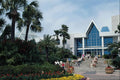 695058 Tropical Moody Gardens A4 Photo Print