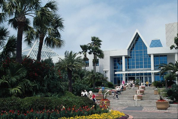 695058 Tropical Moody Gardens A4 Photo Print