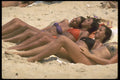 695070 Beach Beauties A4 Photo Print