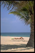 695075 Sun Worshipper On Beach Through Palm Tree, Fort Lauderdale A4 Photo Print