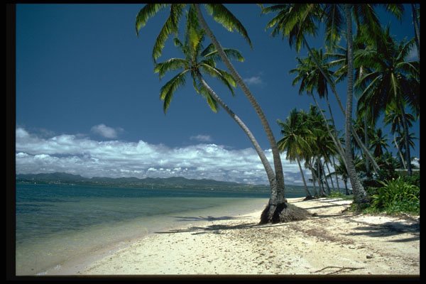 695077 Beach, Navilu Island, Fiji A4 Photo Print