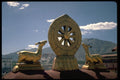 696050 Symbol Of Buddha First Sermon A4 Photo Print
