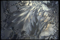 697042 Frost Pattern On A Window A4 Photo Print