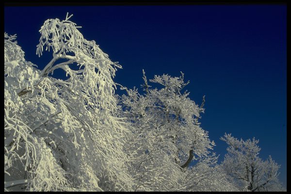697046 Winter Landscape, New England, U.S.A. A4 Photo Print