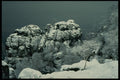 697051 After A Snow Storm, Russia A4 Photo Print