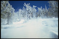 697059 Heavenly Valley, U.S.A. A4 Photo Print
