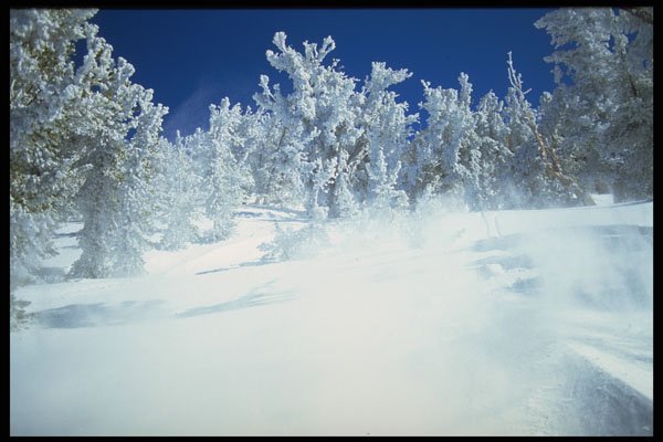 697059 Heavenly Valley, U.S.A. A4 Photo Print
