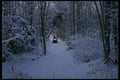 697062 Snowmobiling After Fresh Snowfall A4 Photo Print