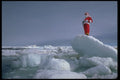 697065 Santa At The Pole A4 Photo Print