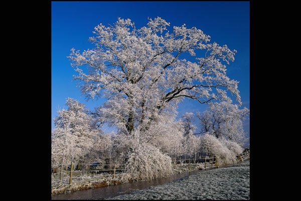 697075 Frosty Winter Scene, England A4 Photo Print