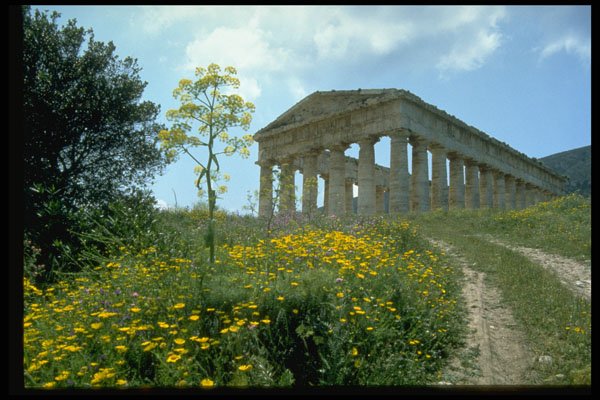 698061 Greek Temple, Segesta, Sicily, Italy A4 Photo Print