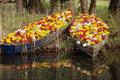 698095 Boats Full Of Flowers A4 Photo Print