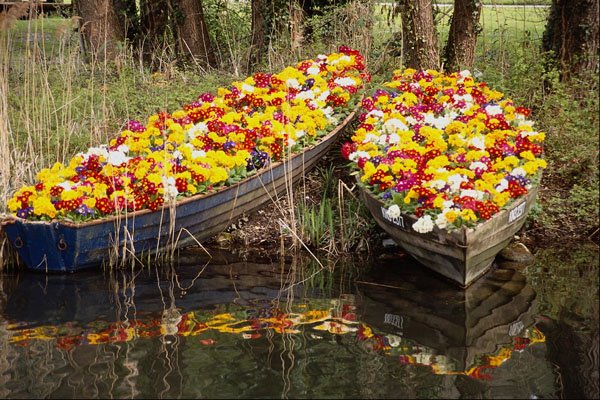 698095 Boats Full Of Flowers A4 Photo Print