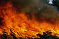 699012 Fire And Flames A4 Photo Print