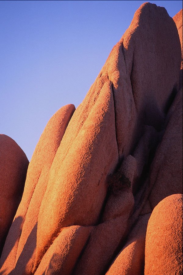 699014 Joshua Tree National Park, California A4 Photo Print