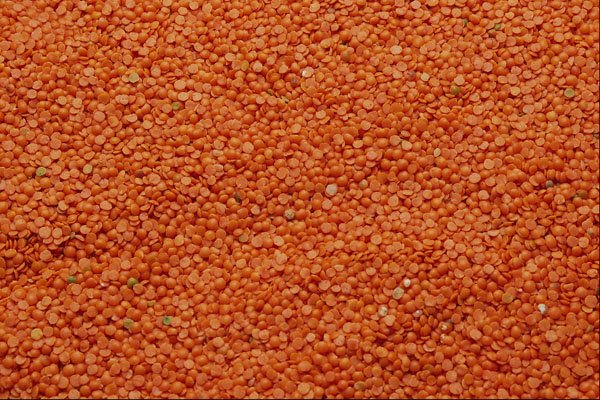 699016 Lentils A4 Photo Print