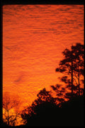 699034 Sunset Over Citrus County, Florida A4 Photo Print