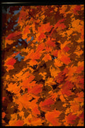 699039 Autumn Landscape, New England A4 Photo Print