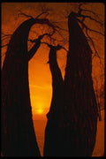 699046 Winter Sunset Along The Ottawa River, Ontario, Canada A4 Photo Print
