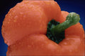 699062 Orange Bell Pepper A4 Photo Print